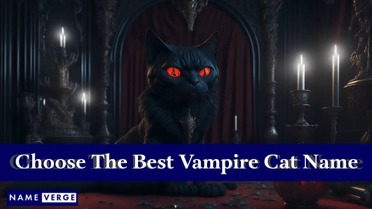 So wählen Sie den besten Vampirnamen für Ihre Katze