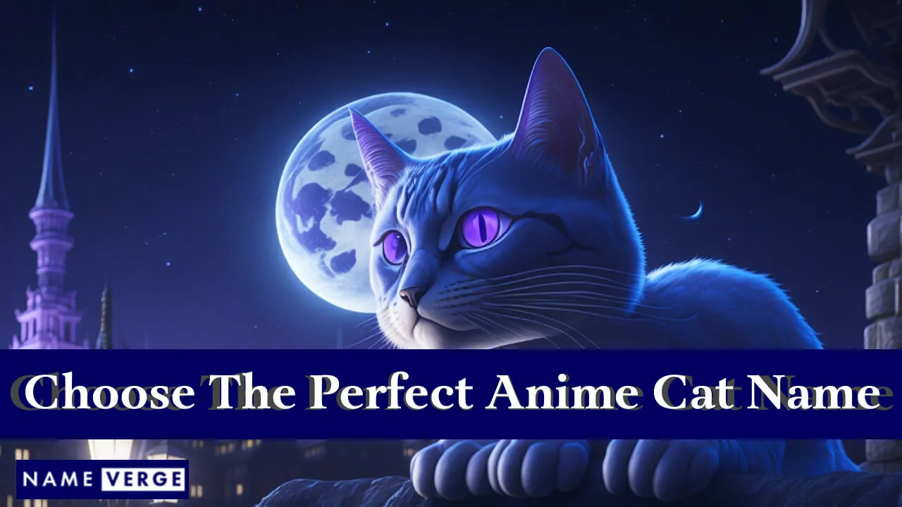 Tipps zur Auswahl der perfekten Anime-Katzennamen