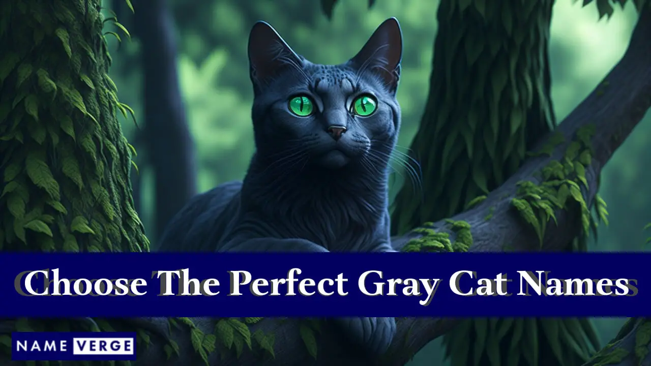 Tipps zur Auswahl der perfekten Namen für graue Katzen