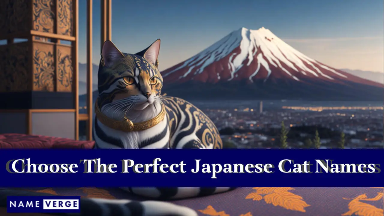 So wählen Sie die perfekten japanischen Katzennamen aus