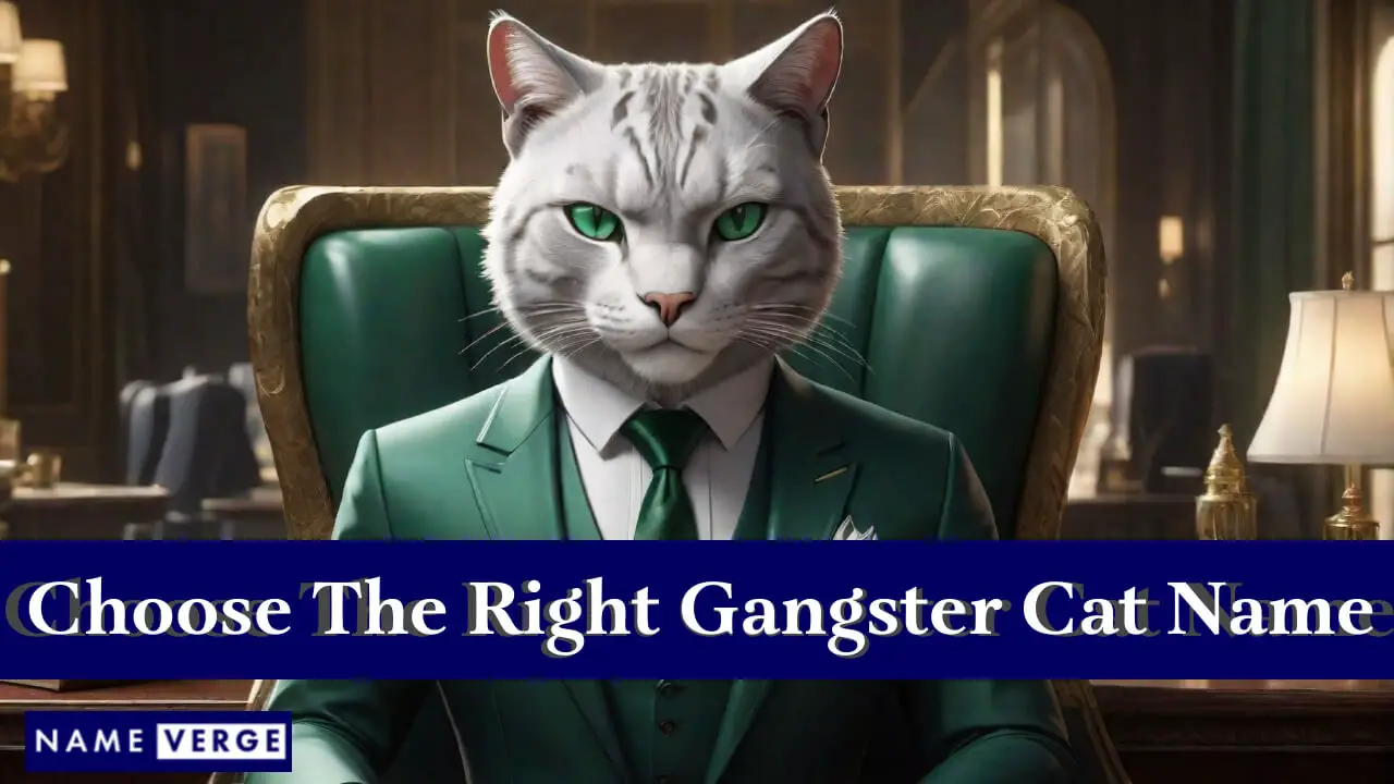 Tipps zur Auswahl des richtigen Gangsterkatzennamens