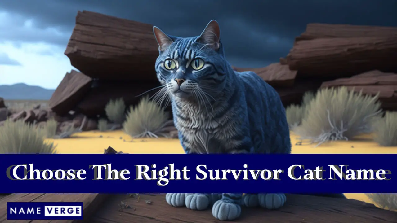Tipps zur Auswahl des richtigen Survivor-Katzennamens