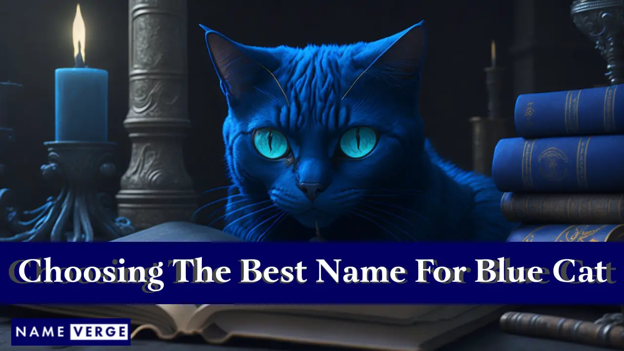 Tipps zur Auswahl des perfekten Namens für Ihre blaue Katze