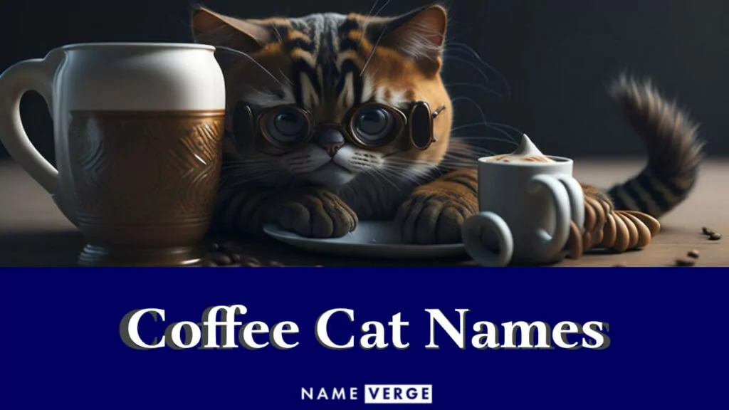 coffee cat names