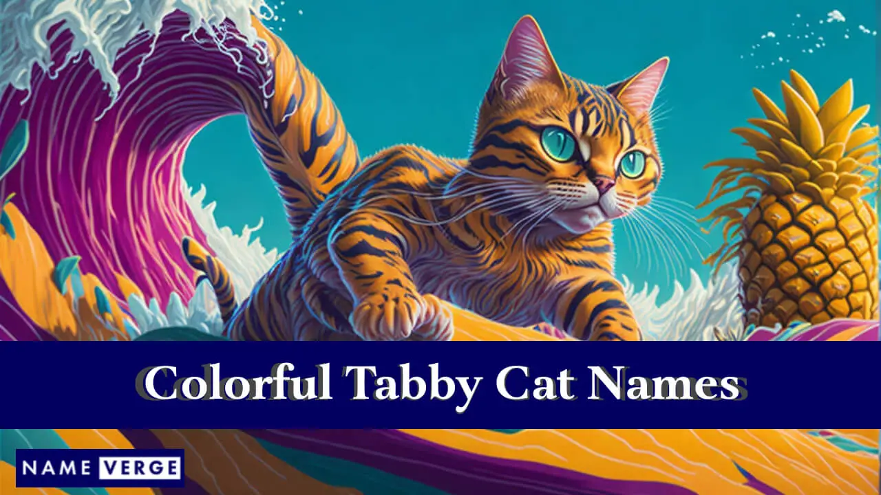 Farbenfrohe Namen für getigerte Katzen