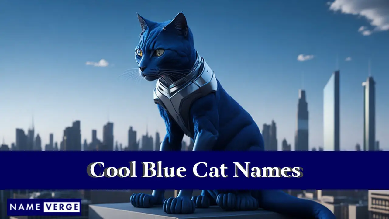 Coole blaue Katzennamen