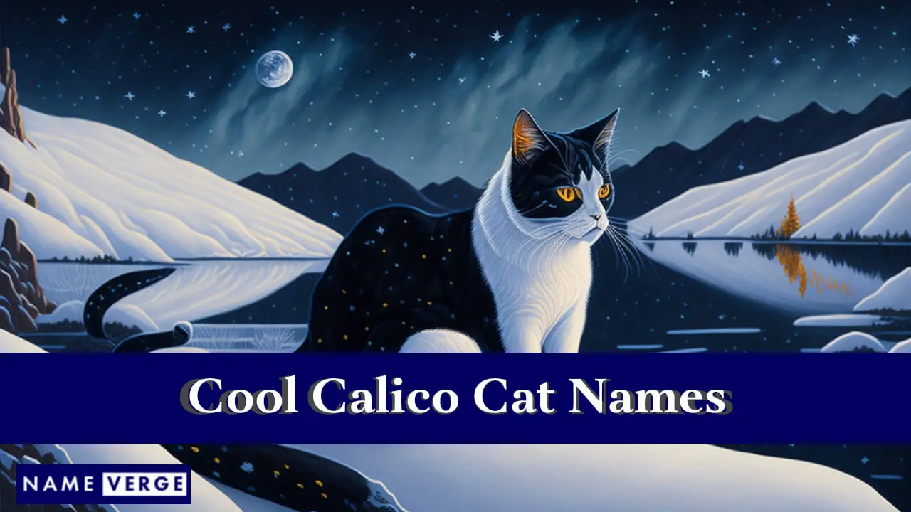 Coole Calico-Katzennamen