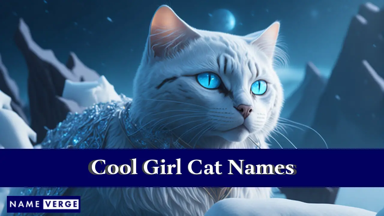 Coole Katzennamen für Mädchen