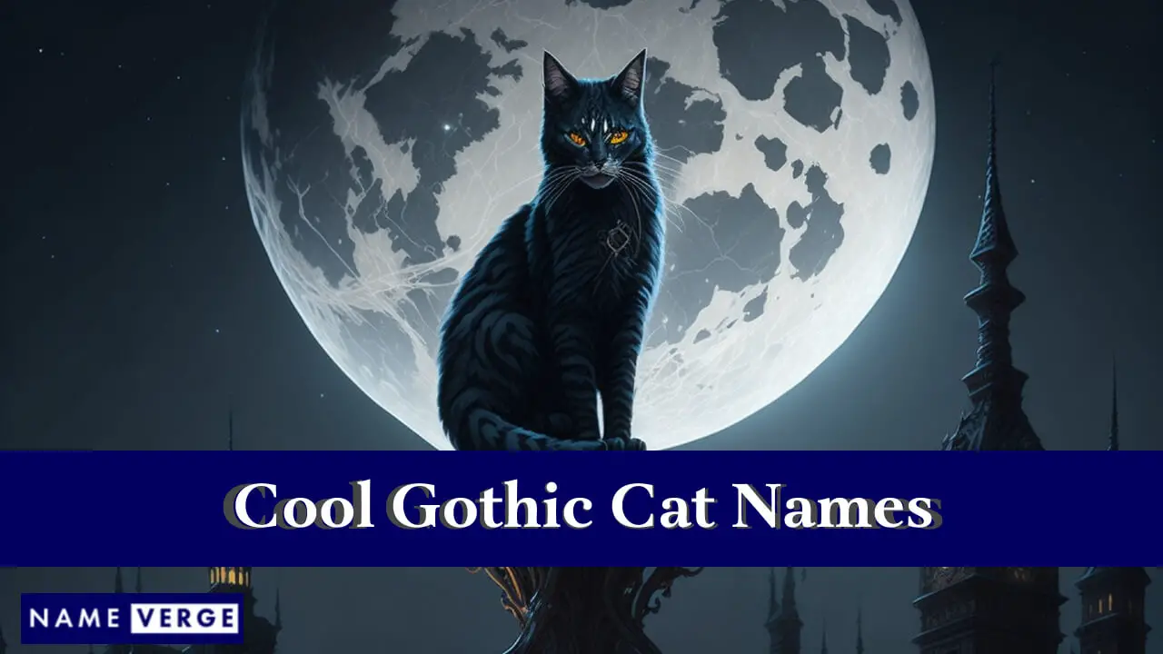Coole gotische Katzennamen