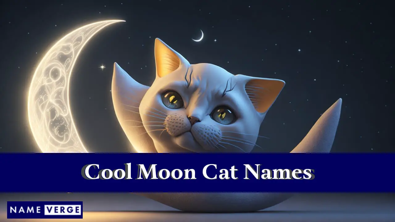 Coole Mondkatzennamen
