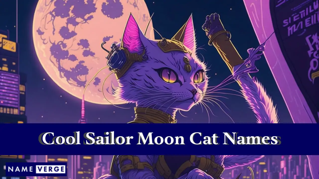 Coole Sailor Moon-Katzennamen