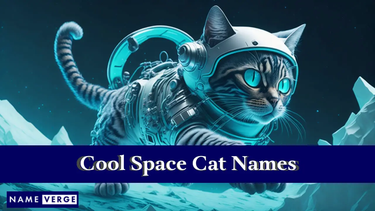 Coole Namen für Weltraumkatzen
