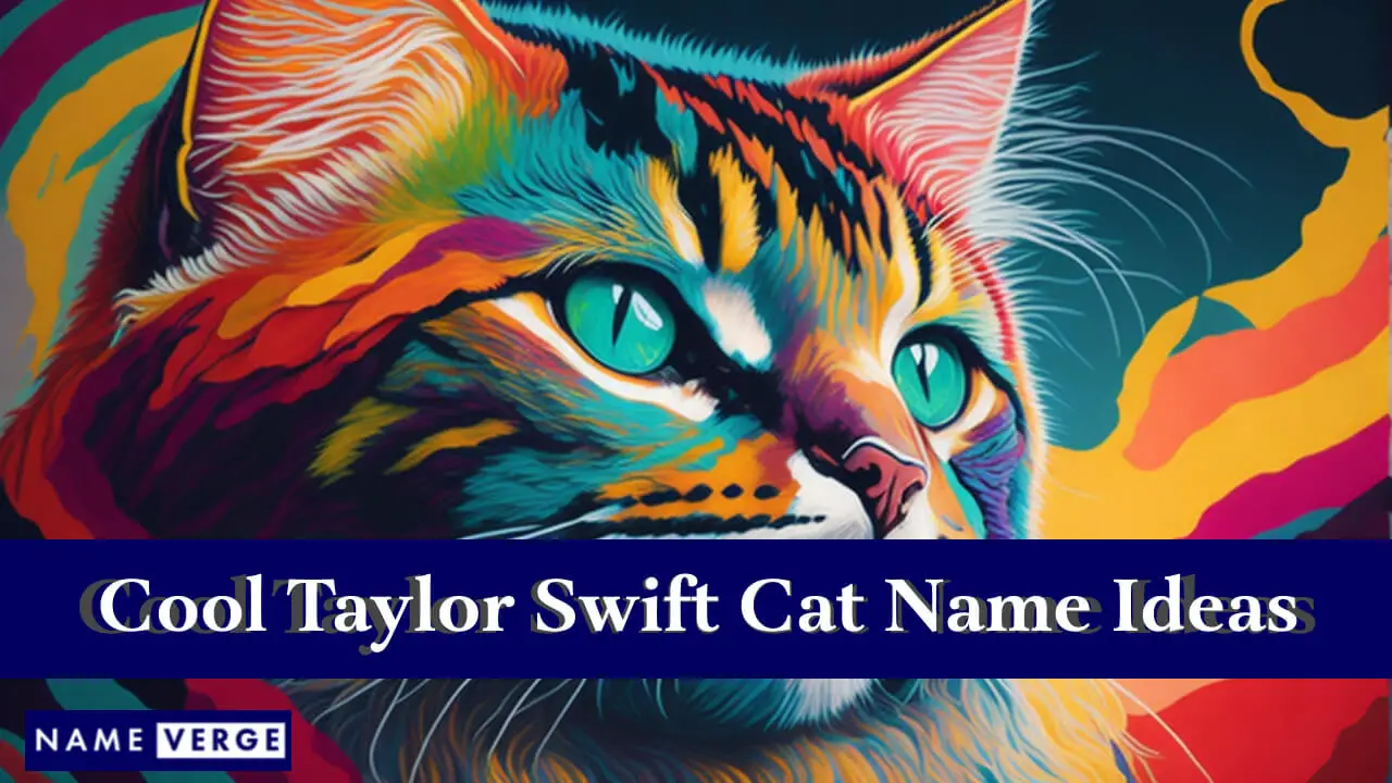 Coole Ideen für Katzennamen für Taylor Swift