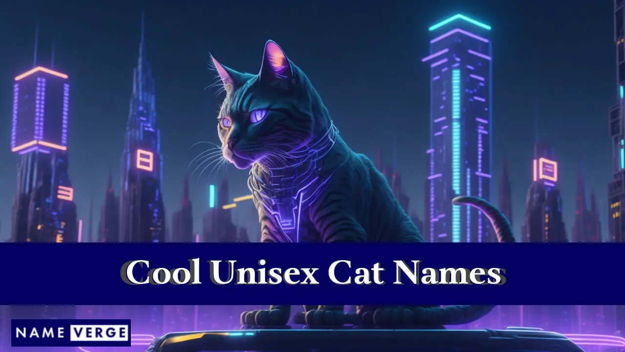 Coole Unisex-Katzennamen