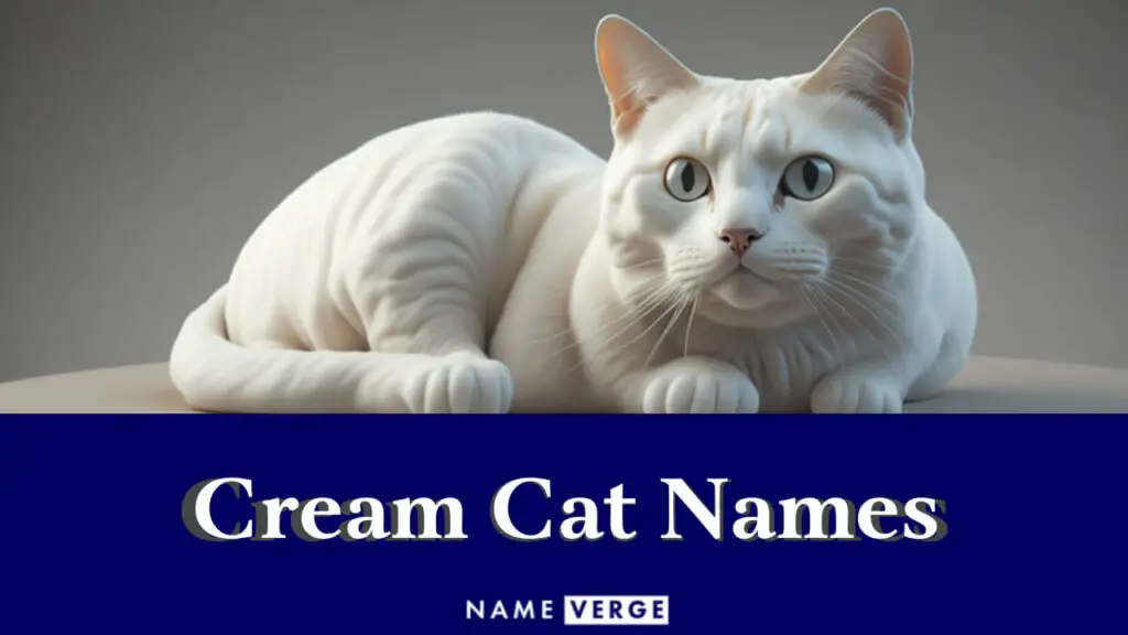 cream cat names