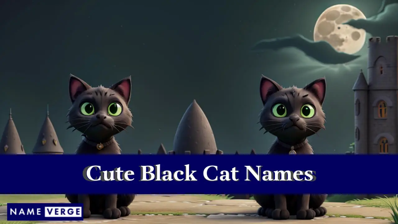 Süße schwarze Katzennamen