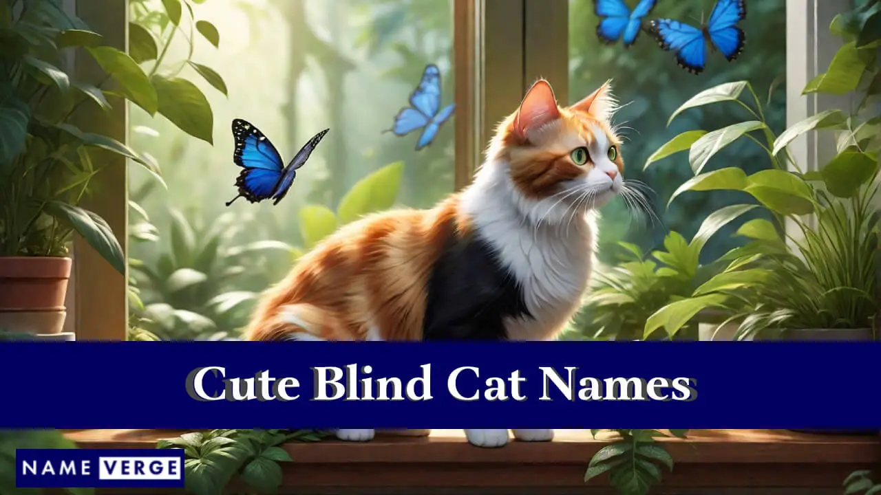 Süße blinde Katzennamen