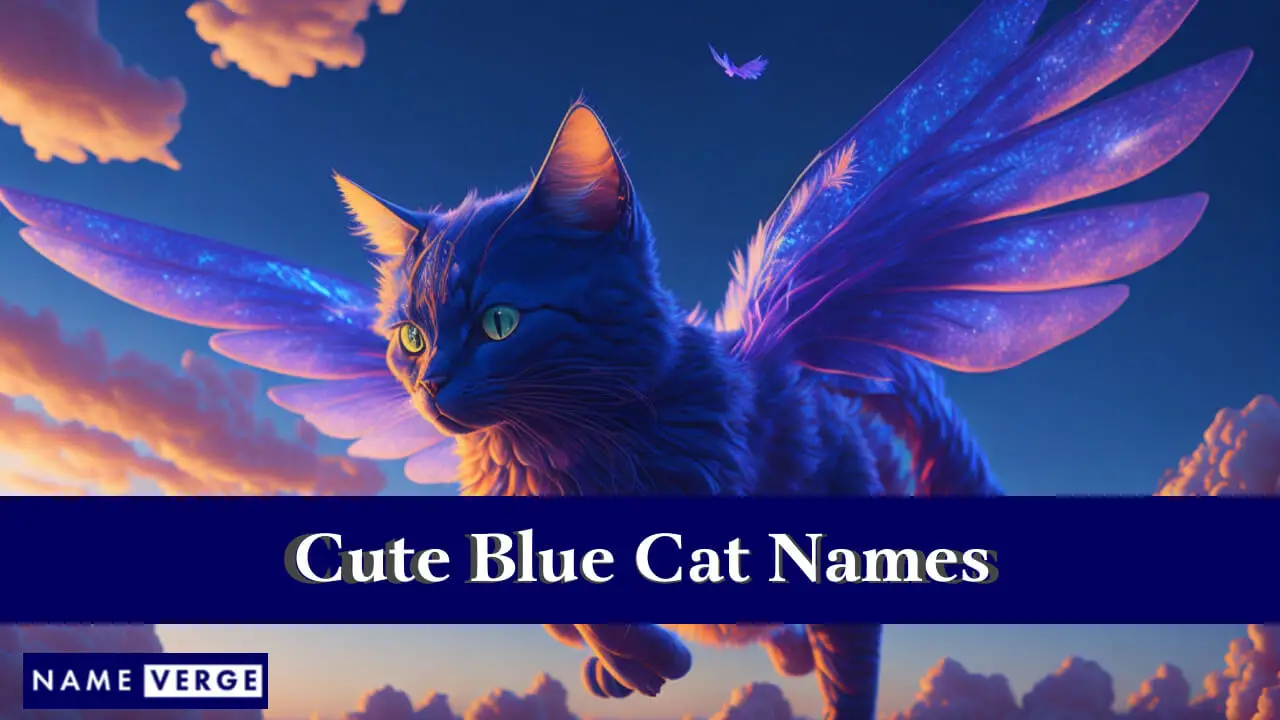 Süße blaue Katzennamen