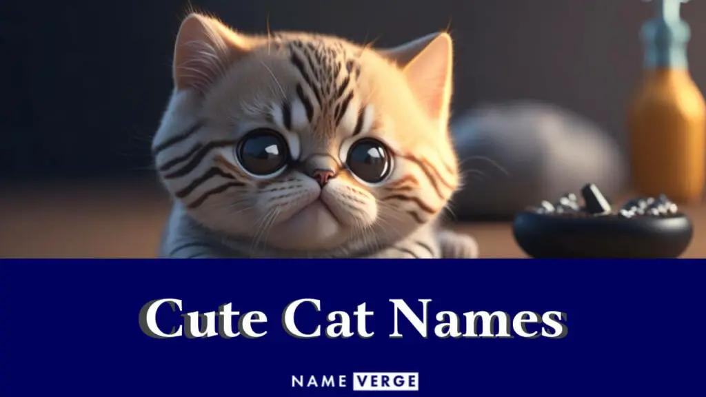 cute cat names