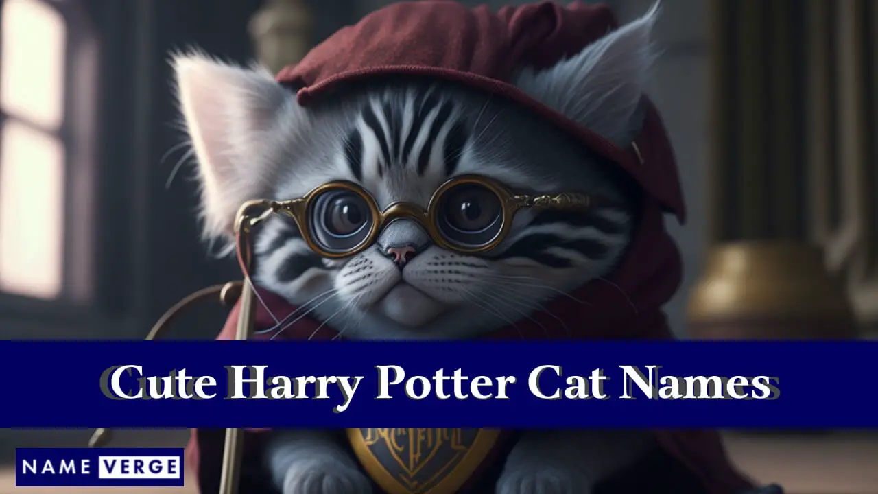 Süße Harry-Potter-Katzennamen