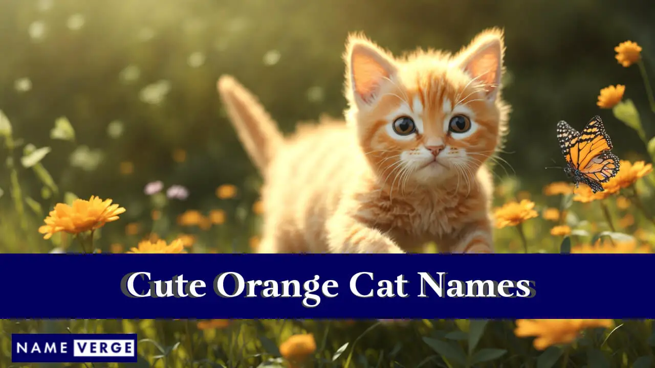 Süße orangefarbene Katzennamen