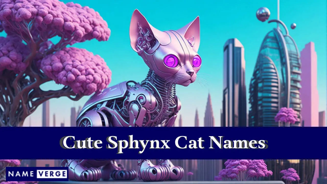 Süße Sphynx-Katzennamen