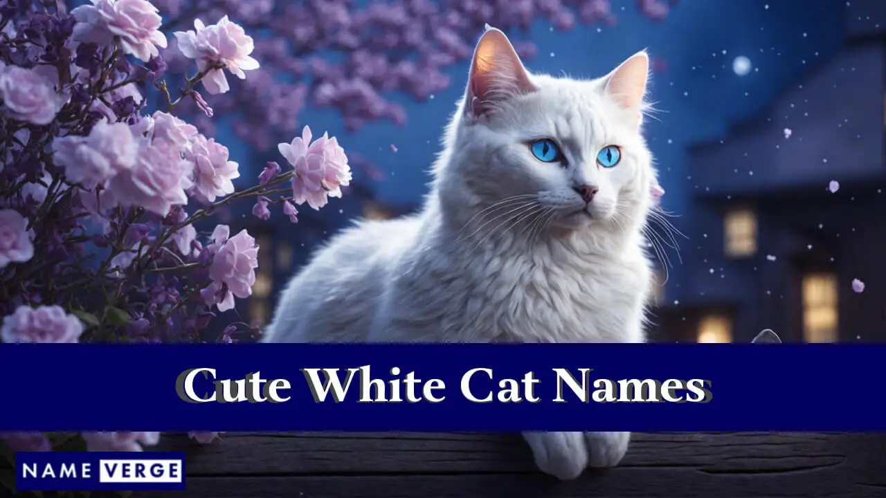 Süße weiße Katzennamen