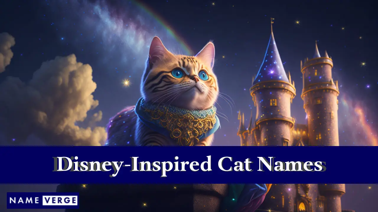 Von Disney inspirierte Katzennamen