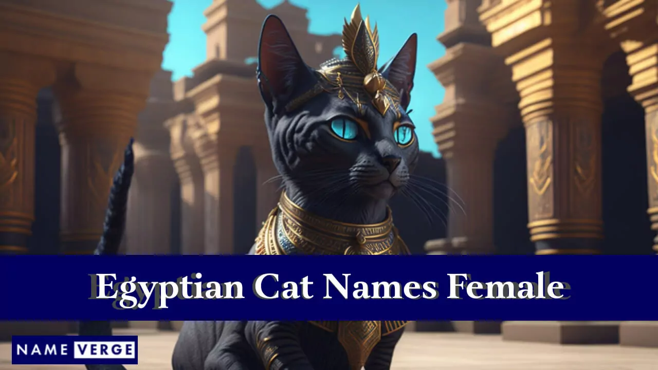 Ägyptische Katzennamen für Frauen