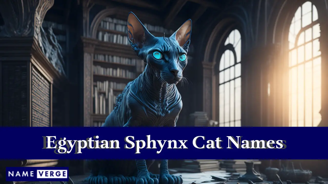 Ägyptische Sphynx-Katzennamen