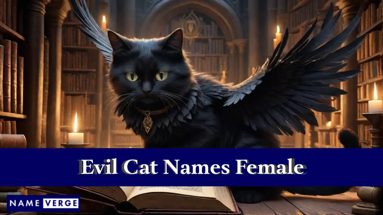 Böse Katzennamen weiblich