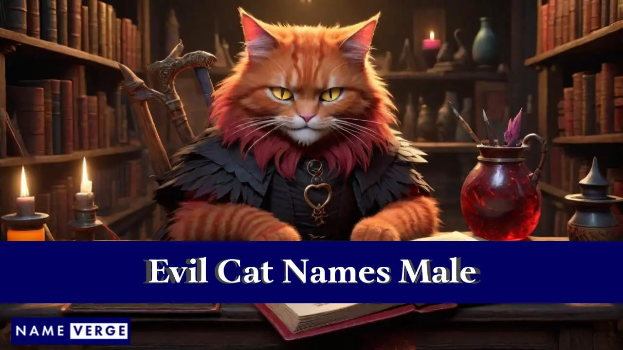 Böse Katzennamen männlich