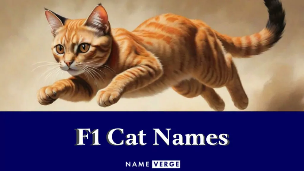 f1 cat names