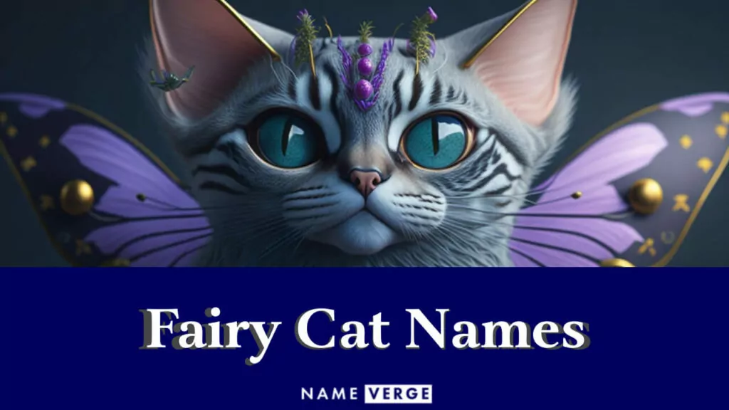 fairy cat names