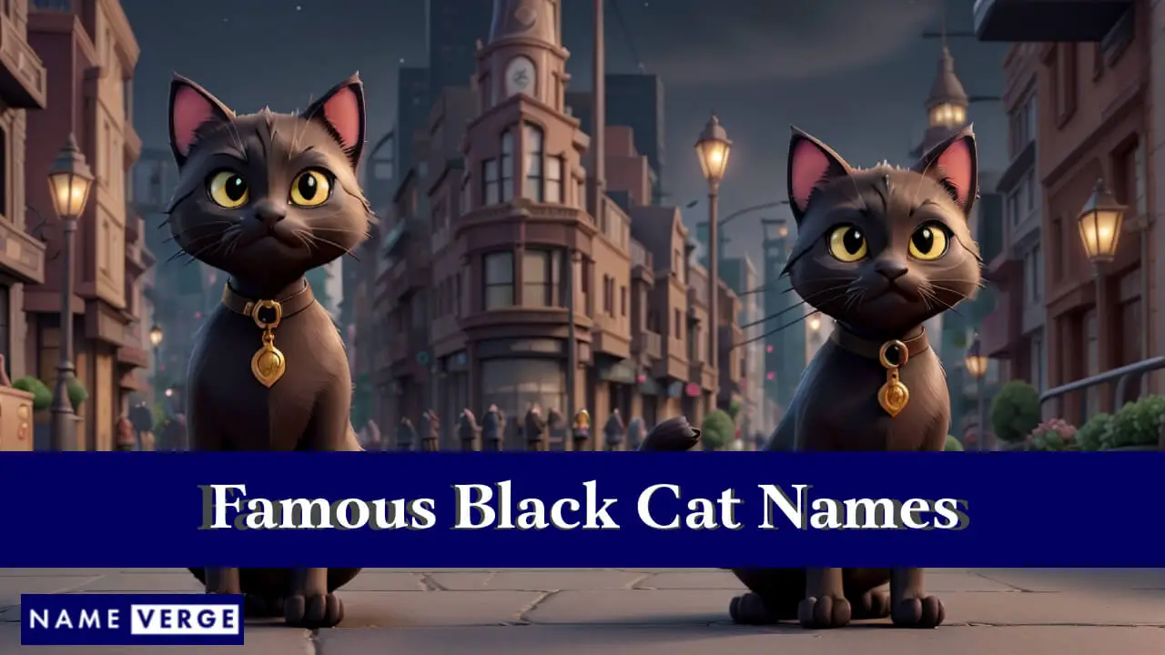 Berühmte Namen für schwarze Katzen