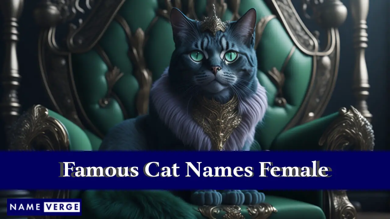 Berühmte Katzennamen für Frauen