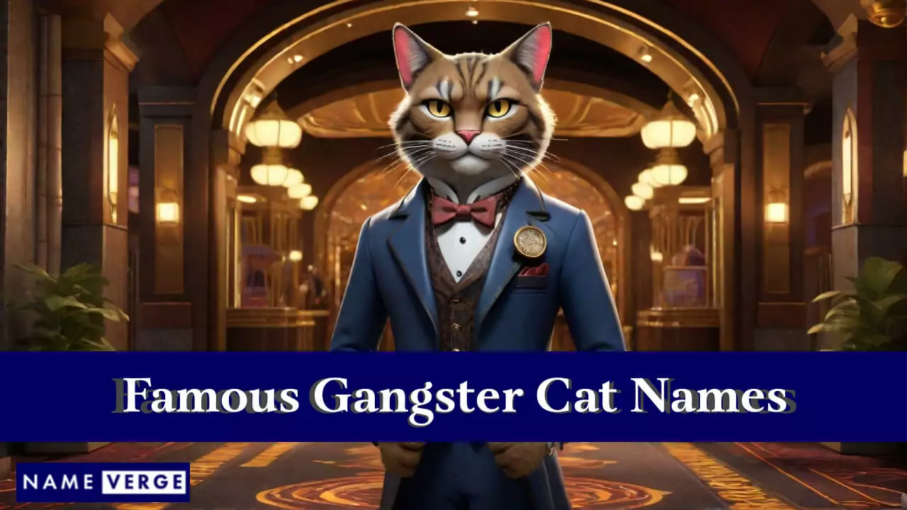 Berühmte Gangsterkatzennamen