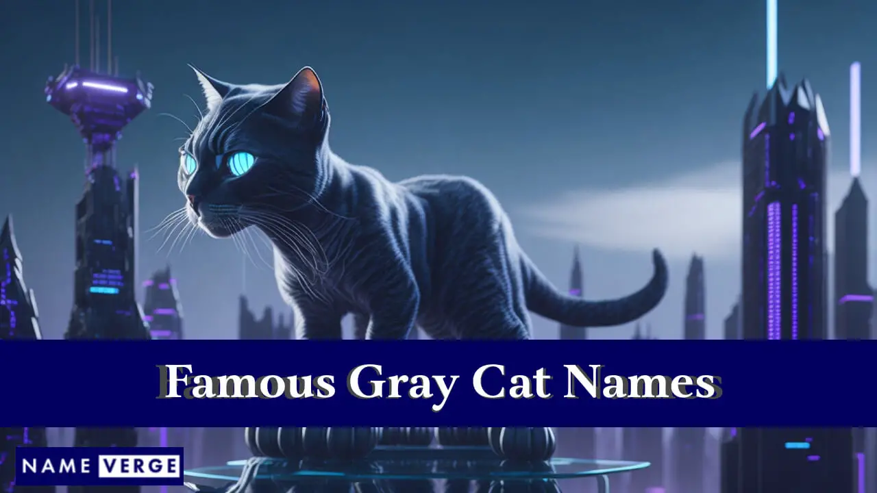 Berühmte Namen für graue Katzen