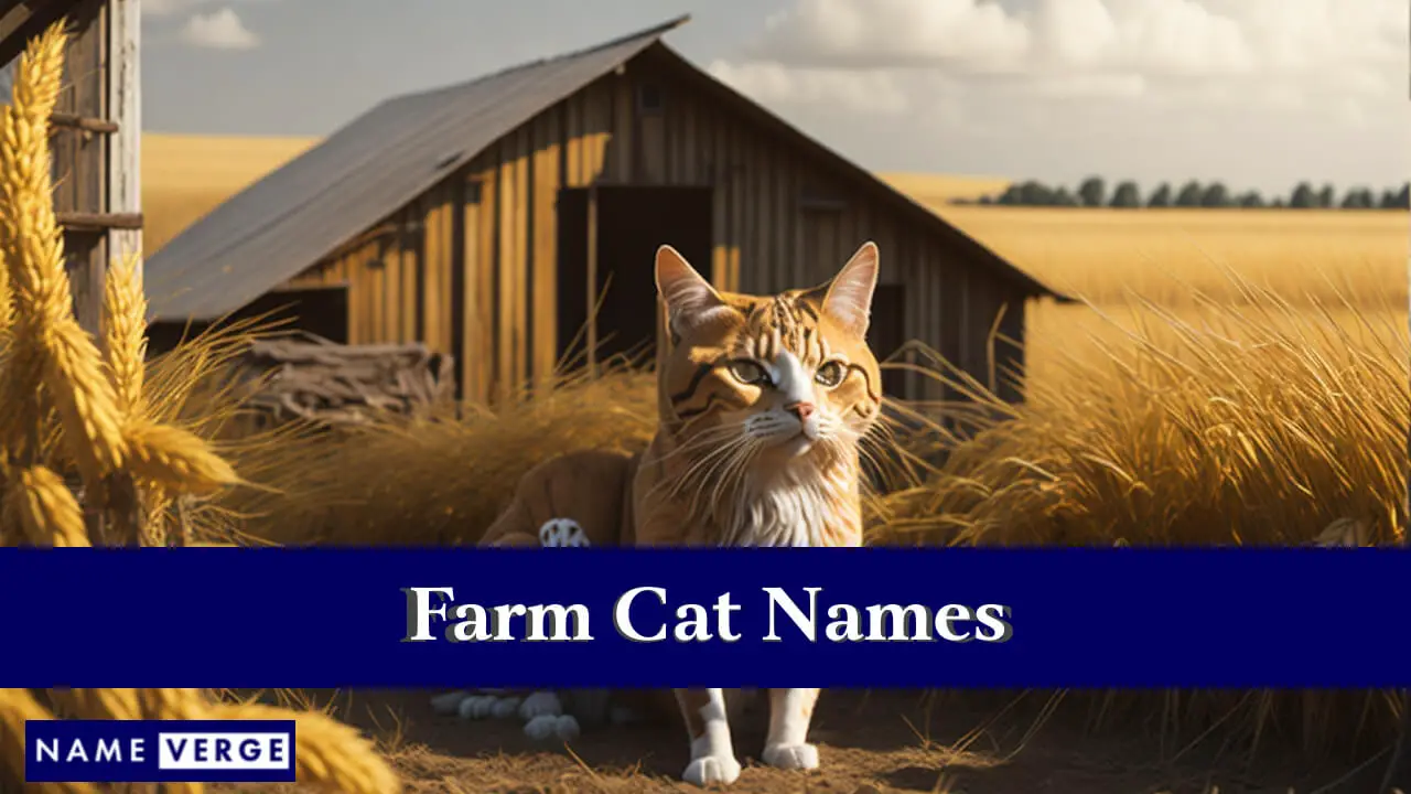 Namen von Bauernhofkatzen
