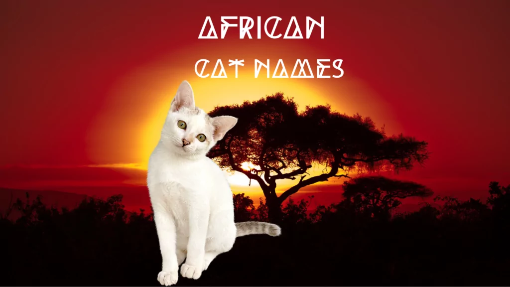 featured african cat names