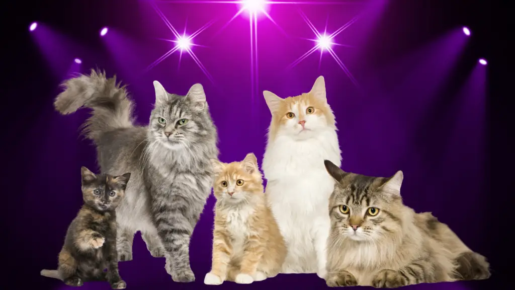 featured purple cat names