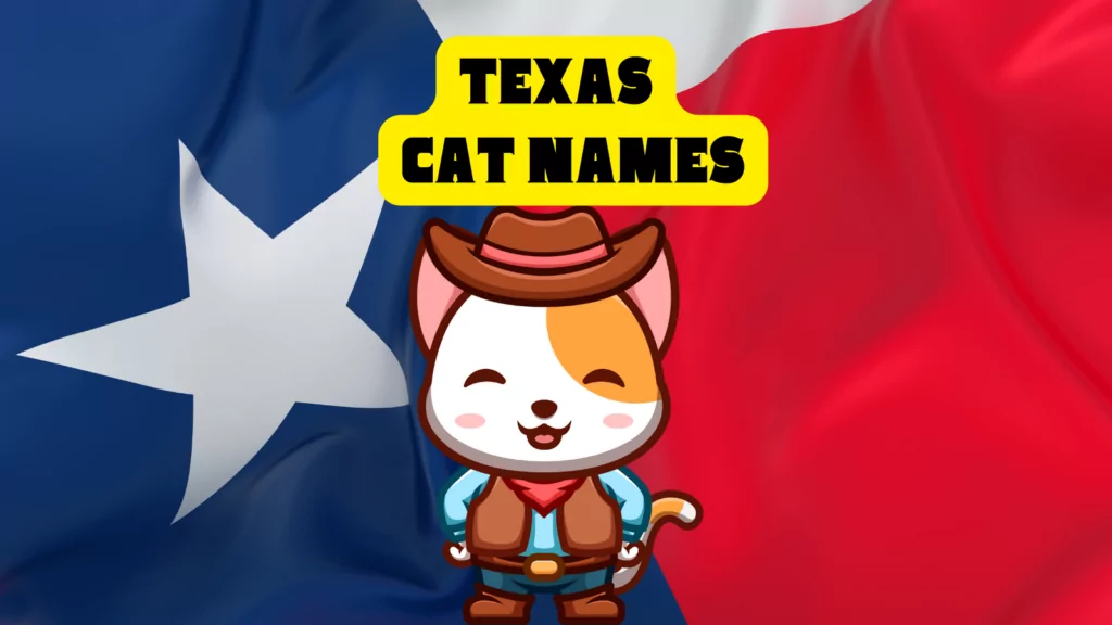 featured tx cat names