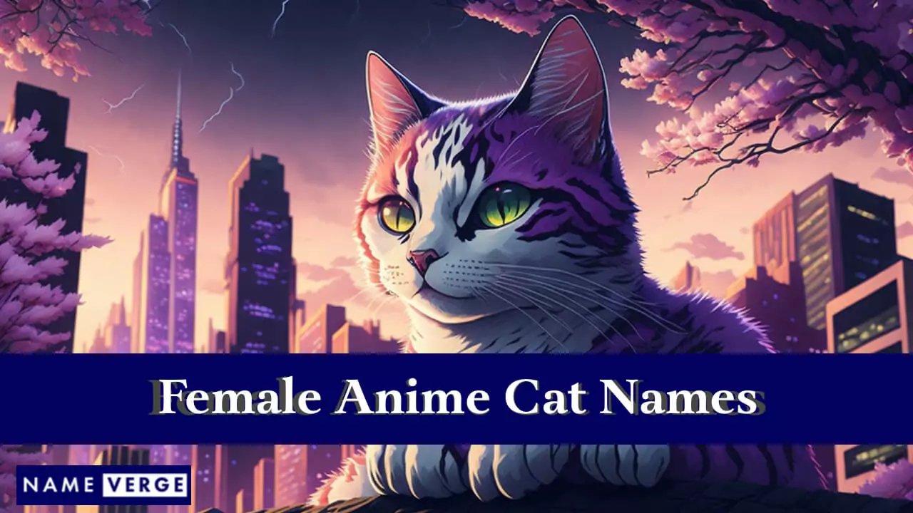Weibliche Anime-Katzennamen