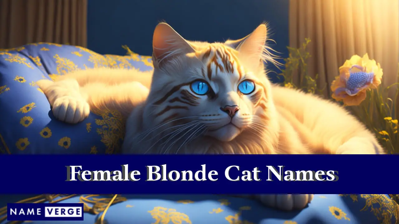 Namen für weibliche blonde Katzen