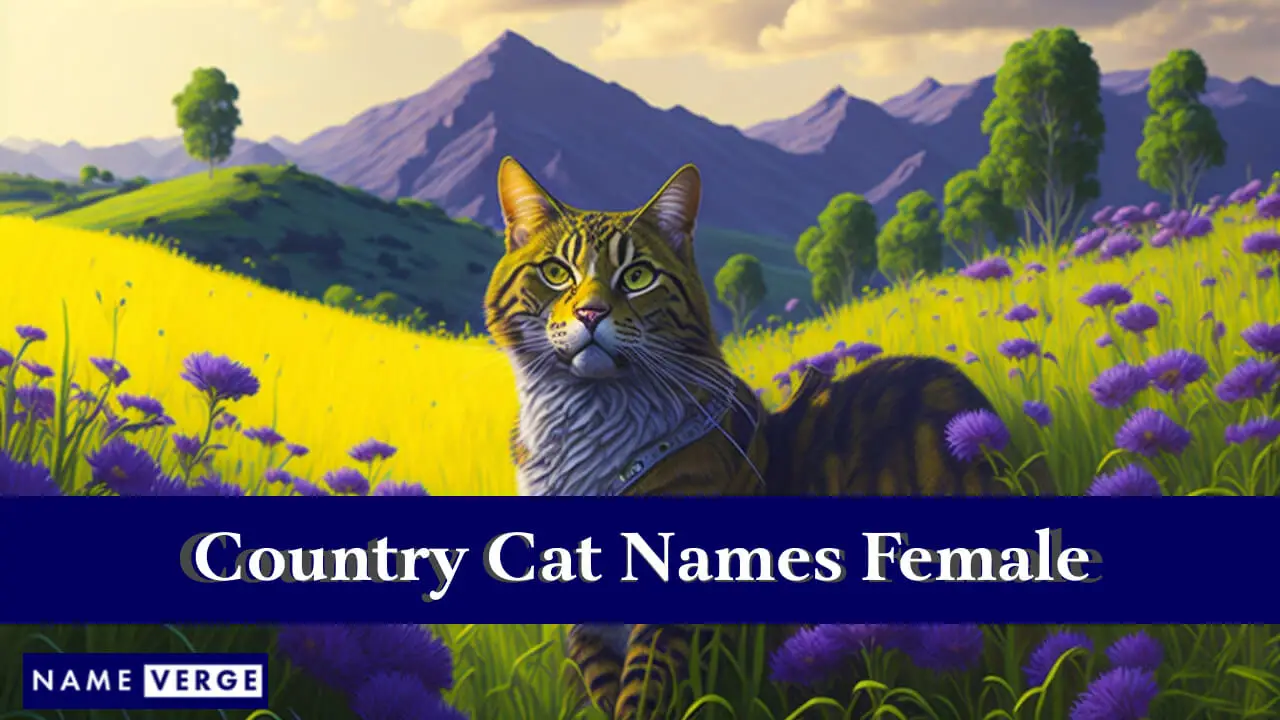 Landkatzennamen für Frauen