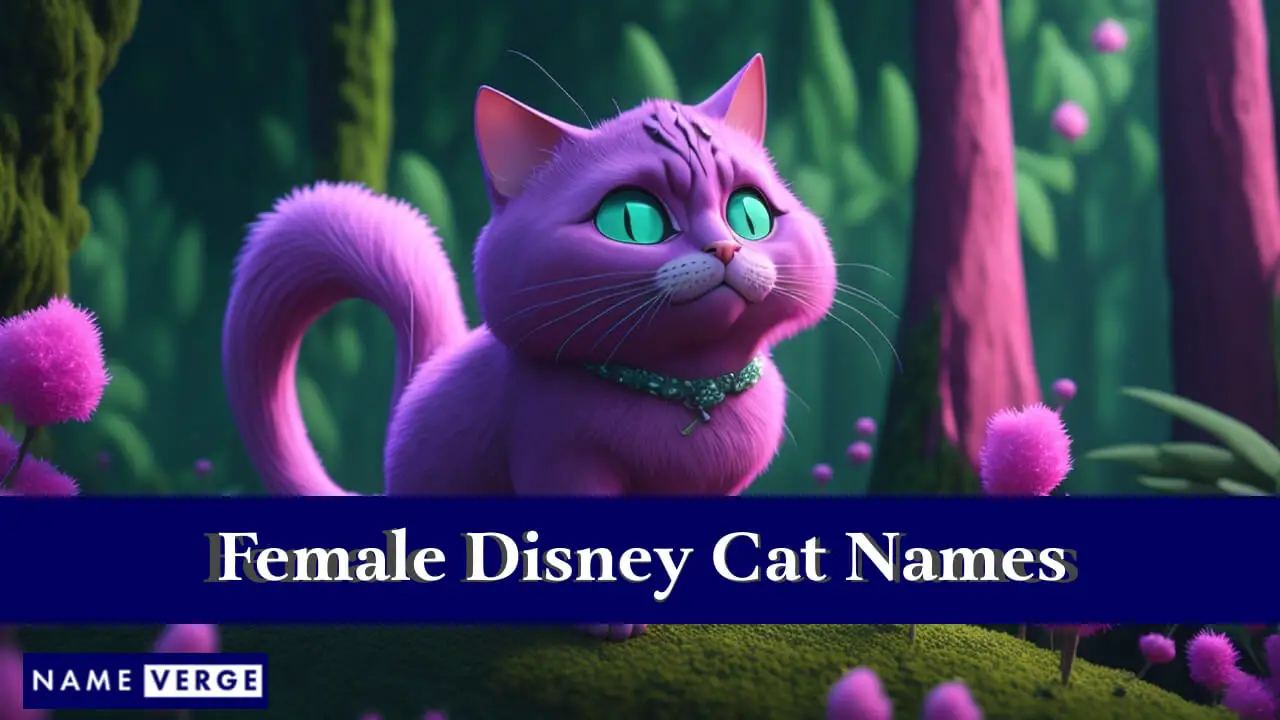 Weibliche Disney-Katzennamen