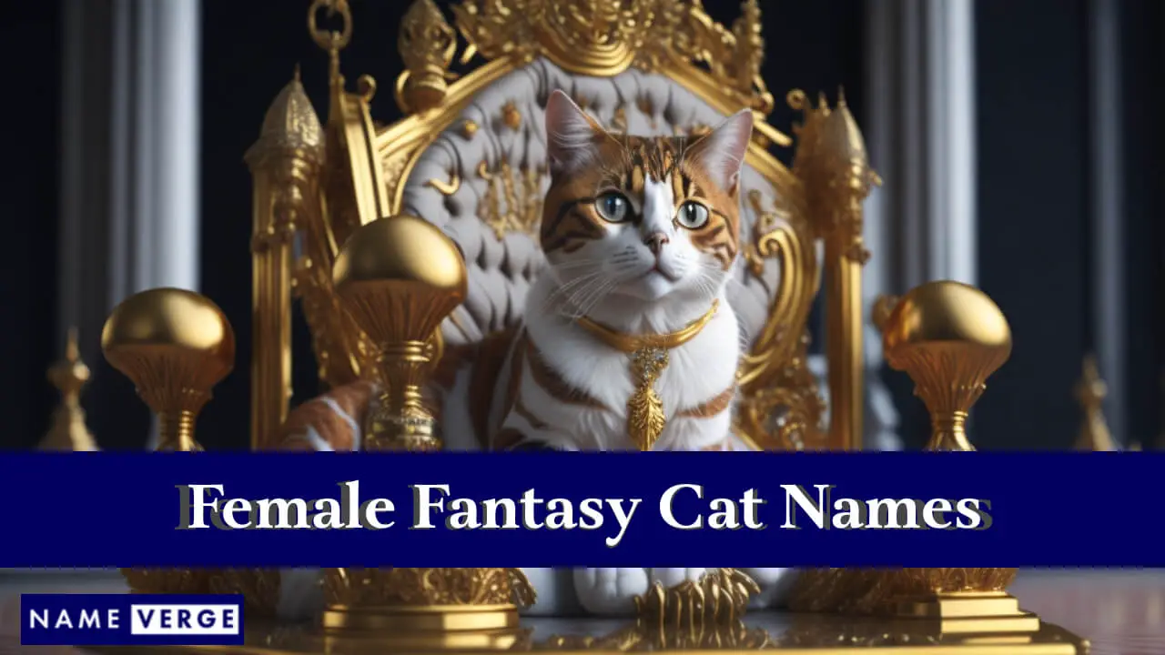 Fantasy-Katzennamen für Frauen