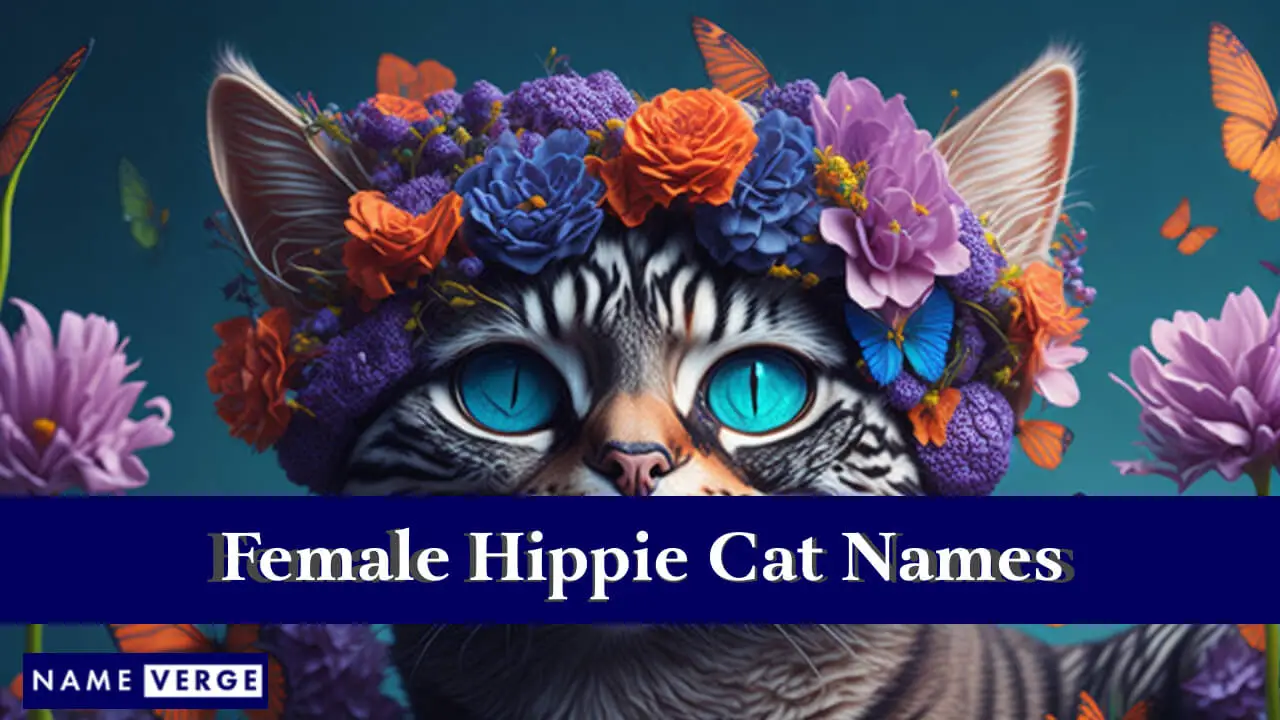 Weibliche Hippie-Katzennamen