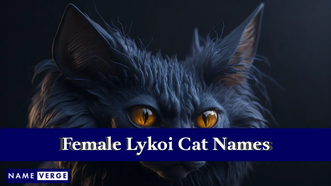 Lykoi-Katzennamen weiblich
