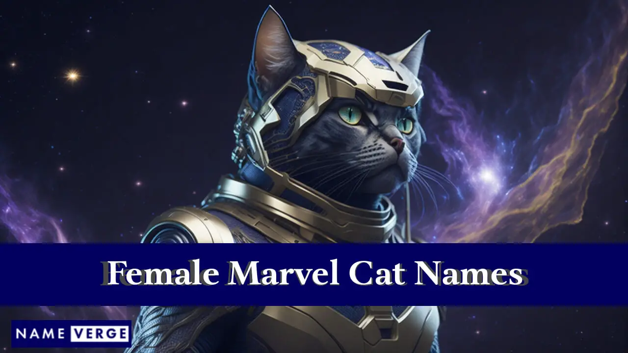 Weibliche Marvel-Katzennamen